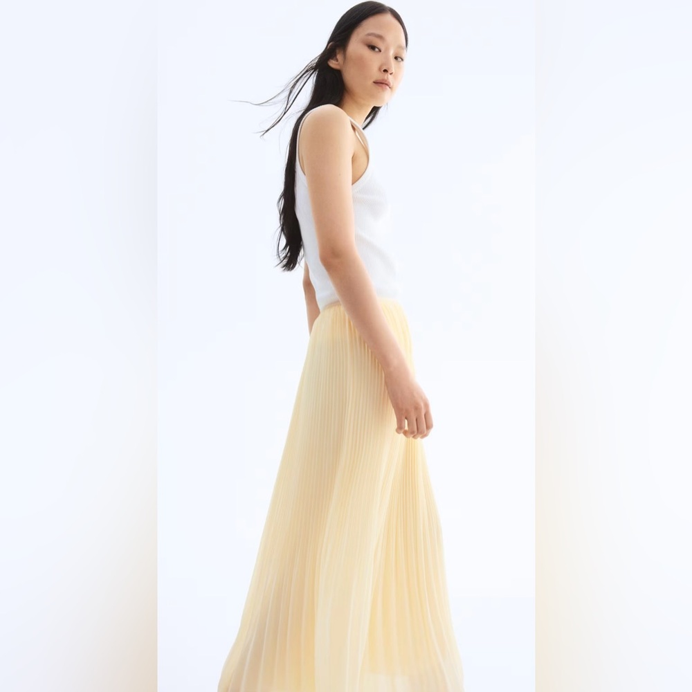 NWT PLEATED CHIFFON SKIRT - Picture 2 of 4